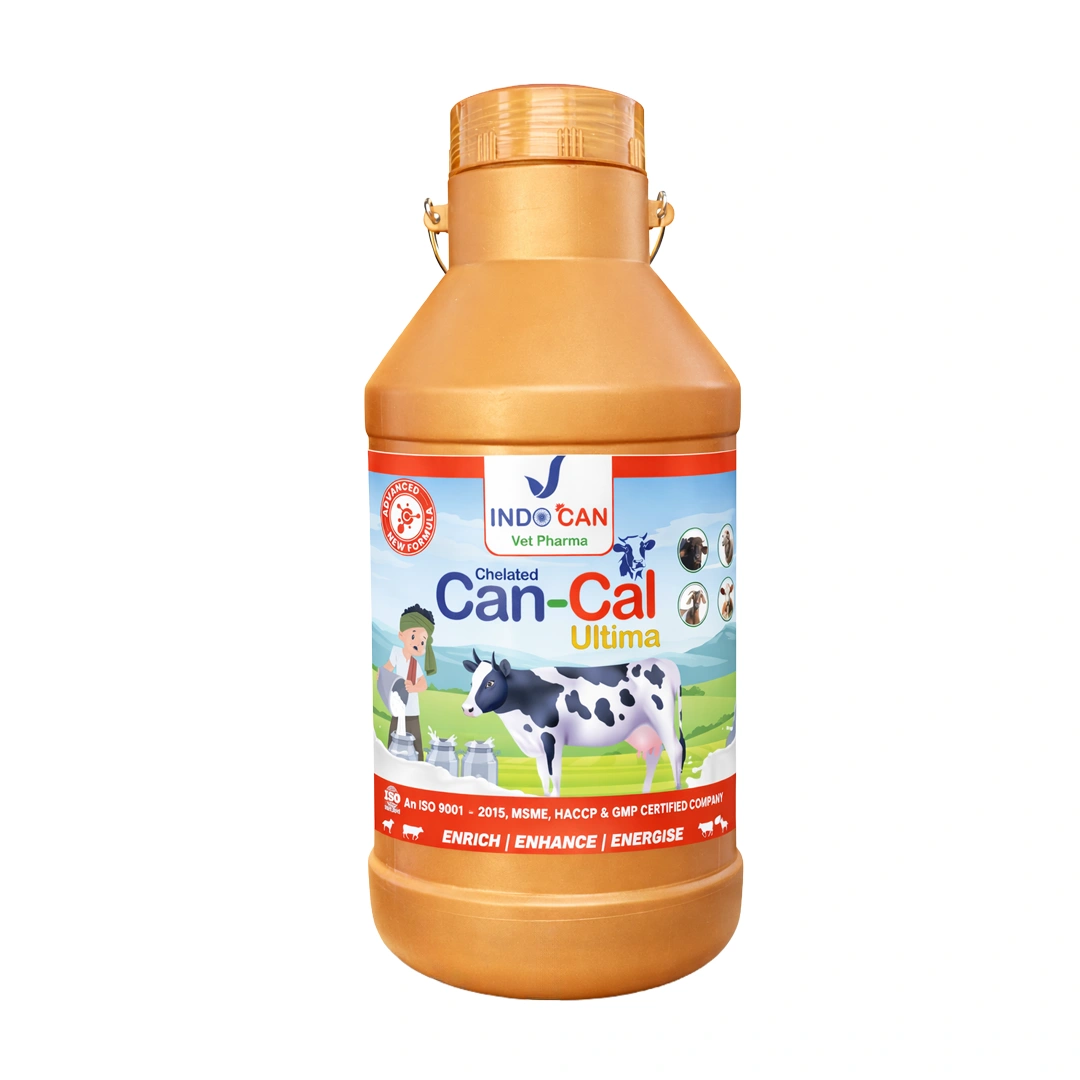 CAN CAL ULTIMA