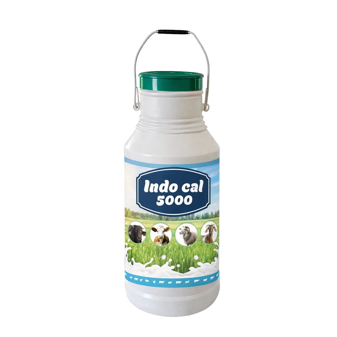 INDO CAL 5000